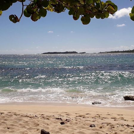 Fleur Des Caraibes Apartment Сент-Ан Екстериор снимка
